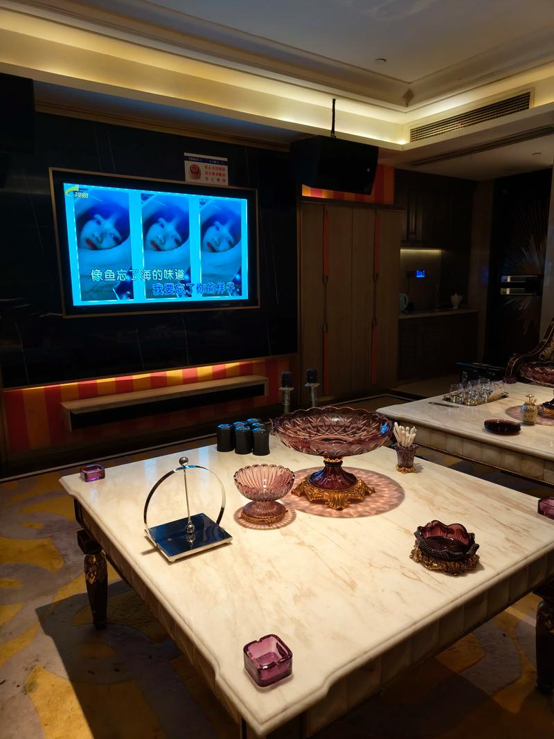 重庆商务ktv怎么玩全攻略-垫江县ktv预定